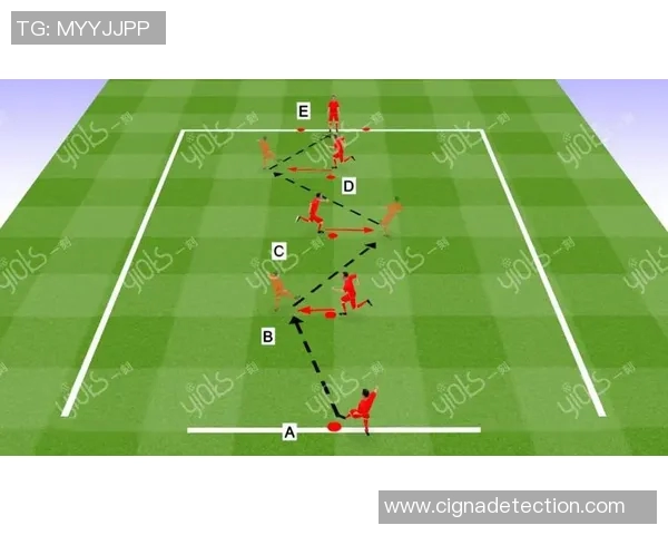 足球明星训练技巧揭秘助你提升球技的实用方法与训练计划