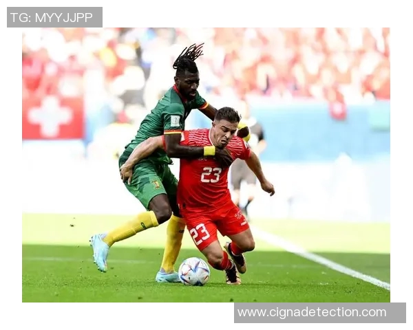 喀麦隆足球明星盘点他们的辉煌成就与影响力