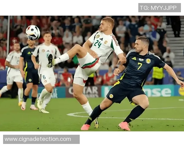 比利时与匈牙利精彩对决集锦回顾赛场瞬间尽在其中