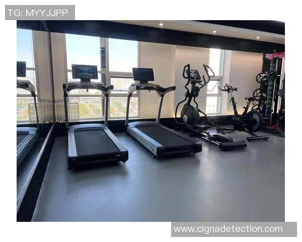 优质体育健身器材厂家推荐助您打造完美健身空间提升运动体验